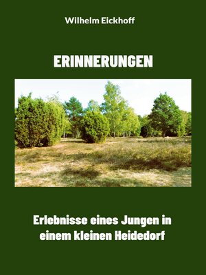cover image of Erinnerungen